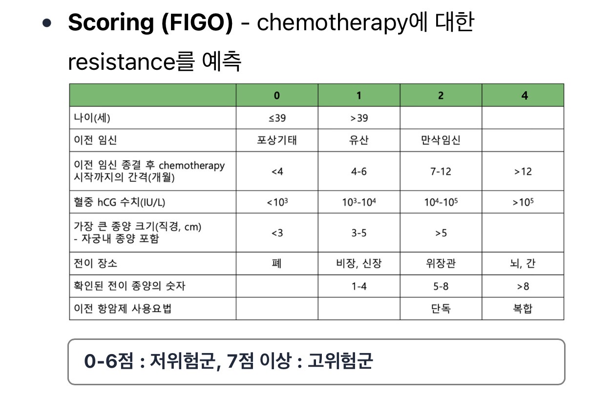 Figo scoring 점수체계