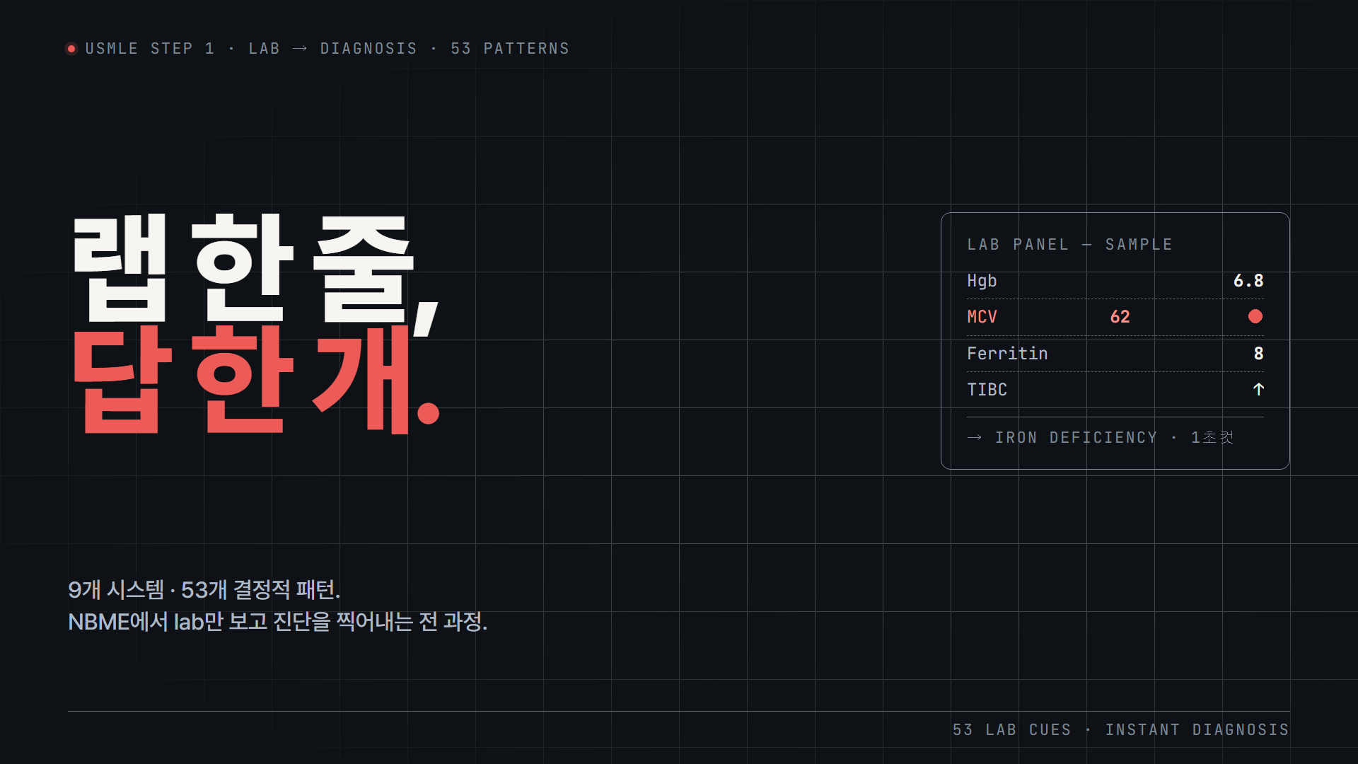 (무료) 랩 수치보고 답 찍어내기