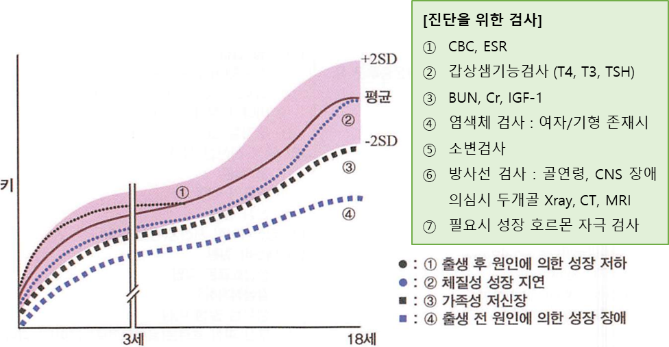성장 장애 개요